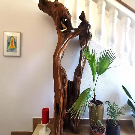 Lovely Guest house