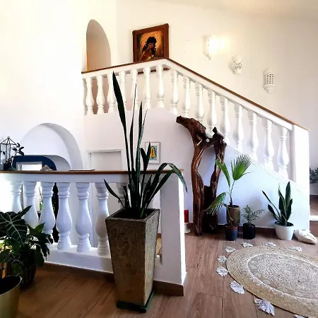 Lovely ゲストハウス シルヴェス